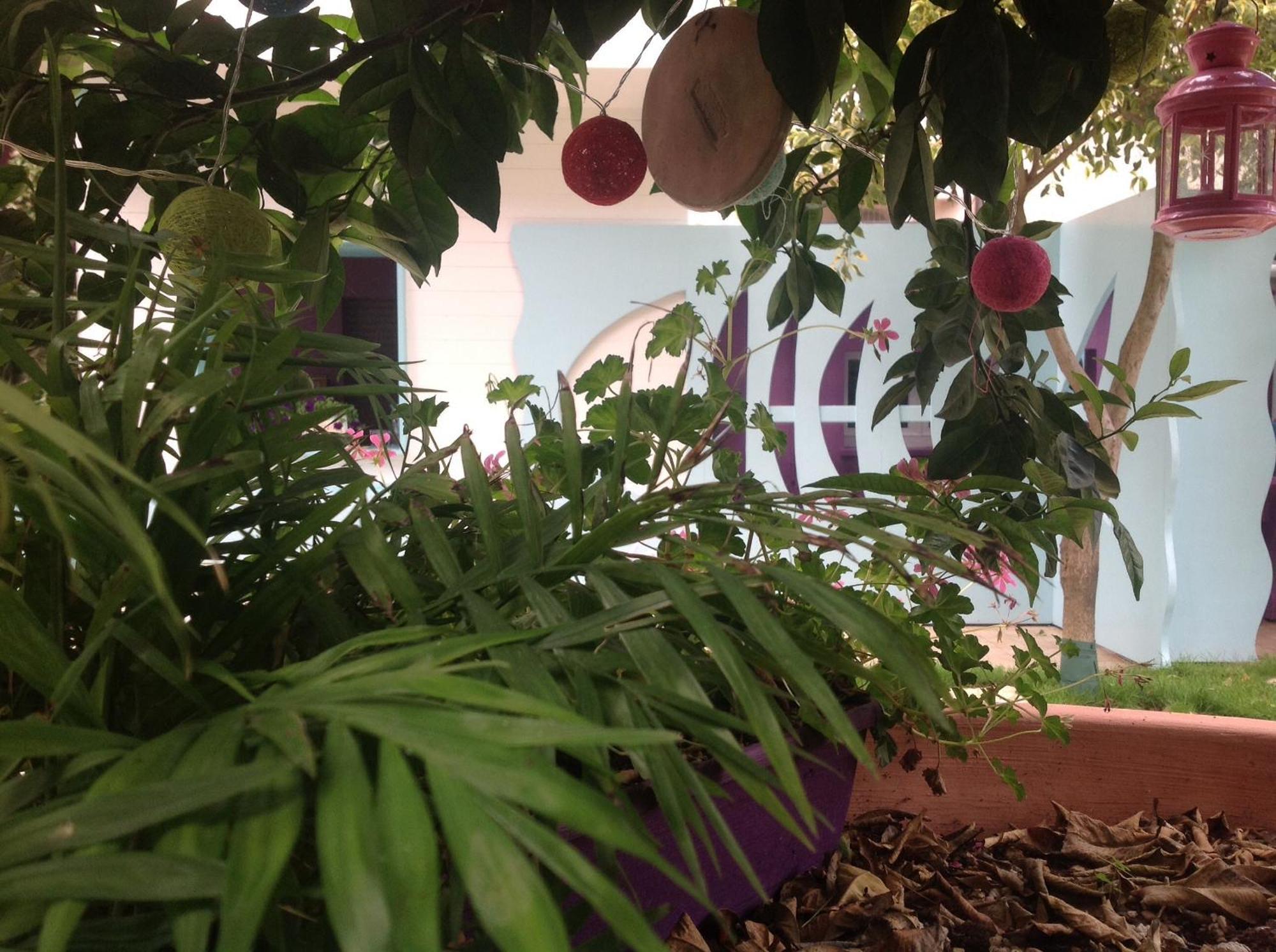A Casa Di Lolu Bed & Breakfast Grottammare Bagian luar foto