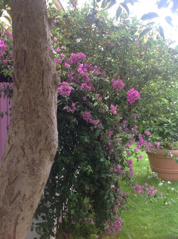 A Casa Di Lolu Bed & Breakfast Grottammare Bagian luar foto