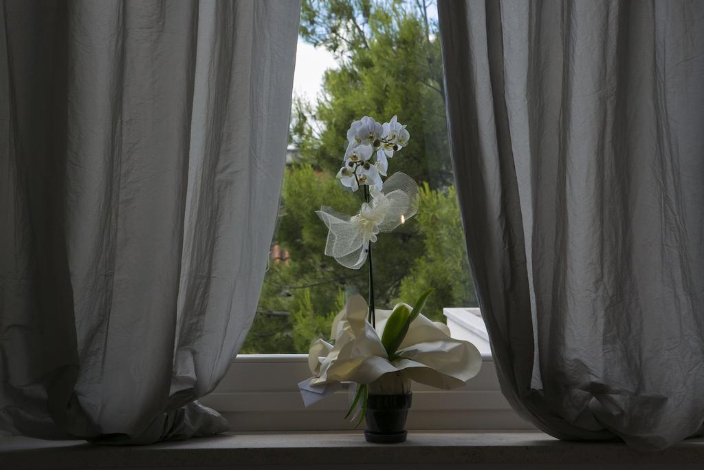 A Casa Di Lolu Bed & Breakfast Grottammare Bagian luar foto